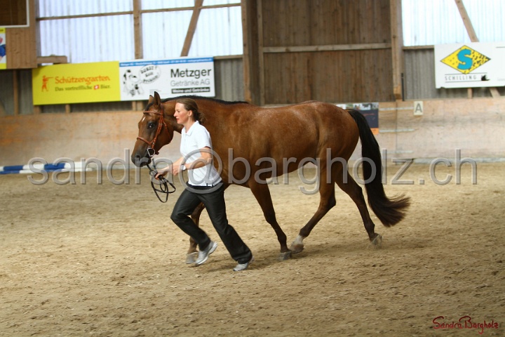 24-ApHC HIH_089.jpg